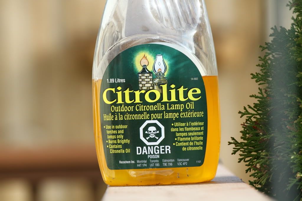 IMAGE: http://i170.photobucket.com/albums/u263/9058377799/IMG_3479.jpg