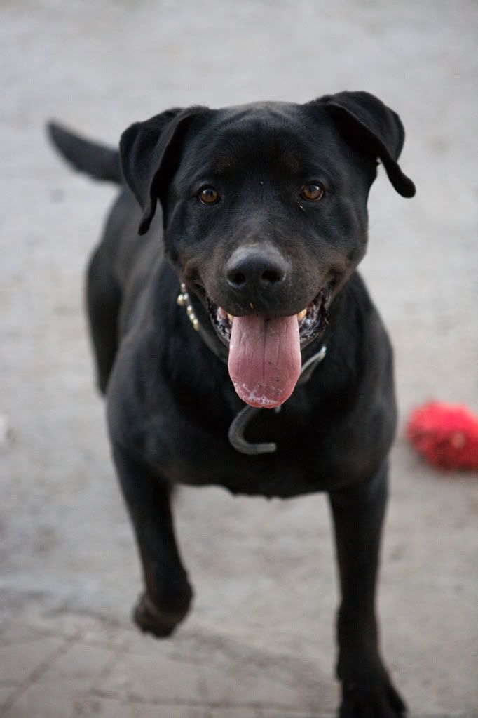 IMAGE: http://i170.photobucket.com/albums/u263/tehshocker69/_MG_8872.jpg