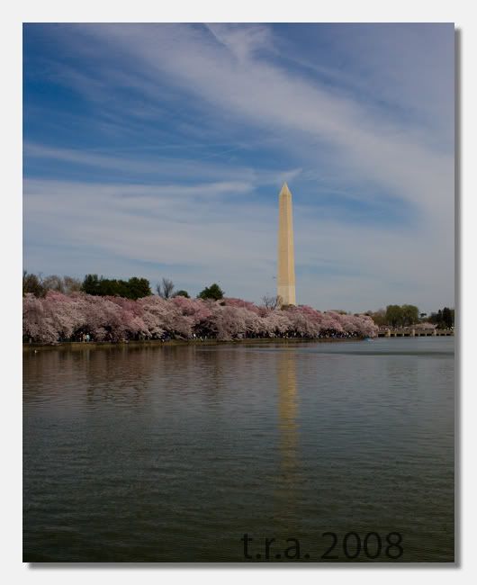 IMAGE: http://i170.photobucket.com/albums/u264/scot079/7S8F0998.jpg