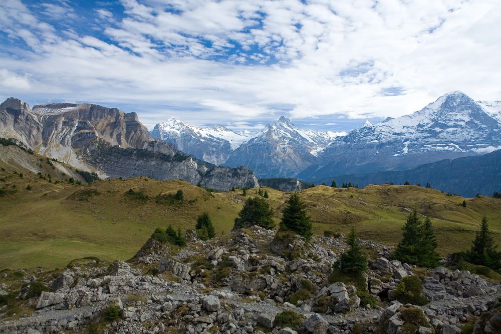 IMAGE: http://i170.photobucket.com/albums/u264/scot079/IMG_5798.jpg