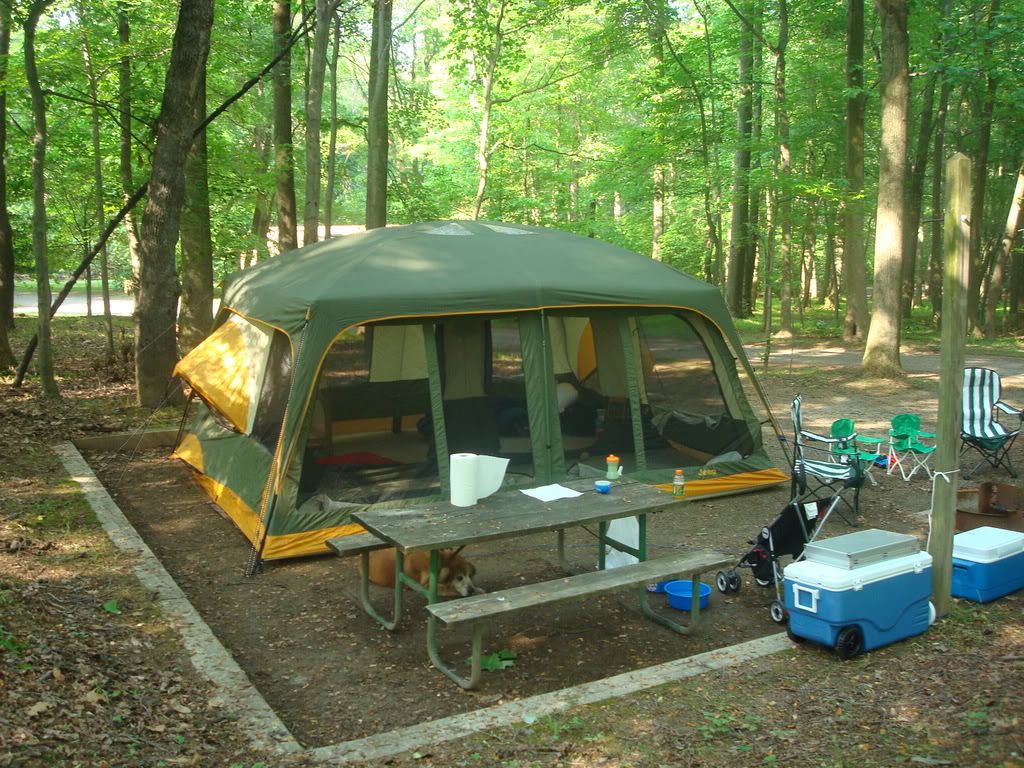 Camping tents and jeep brand #4