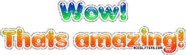 Wow_Amazing_377x112.gif