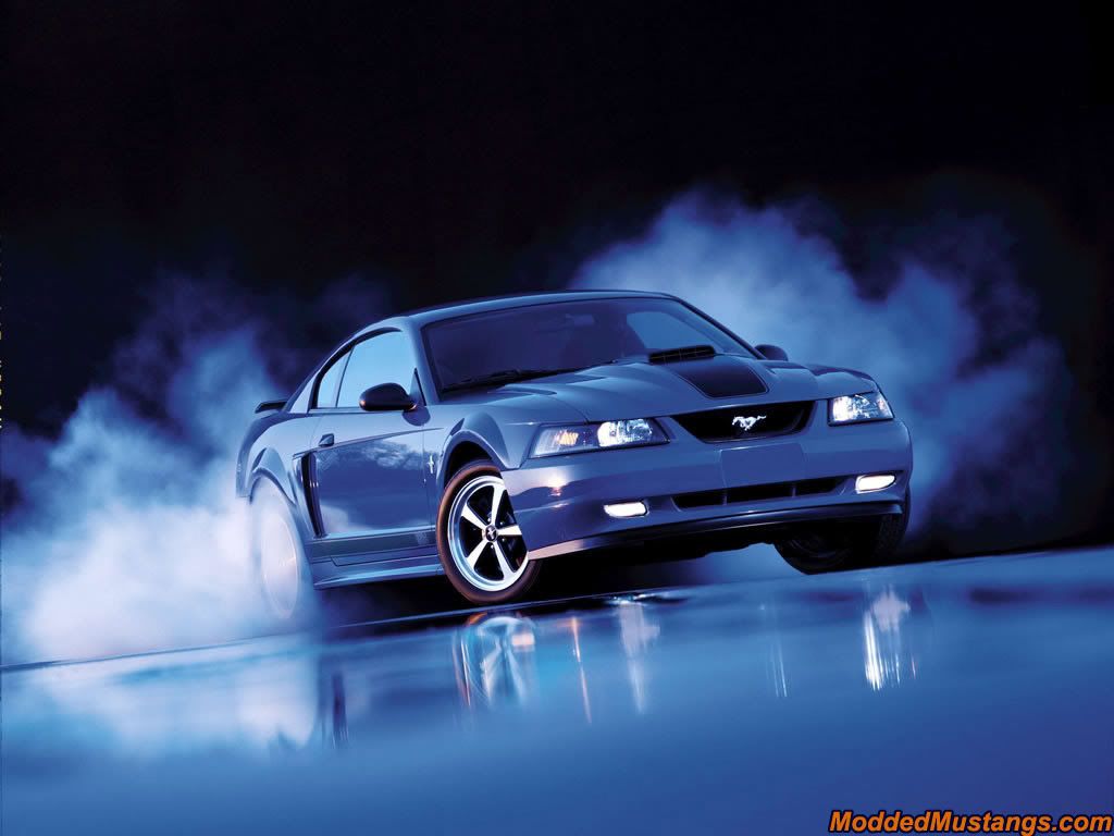 2003-mach-1-1024x768.jpg picture by Yumaguy_photo