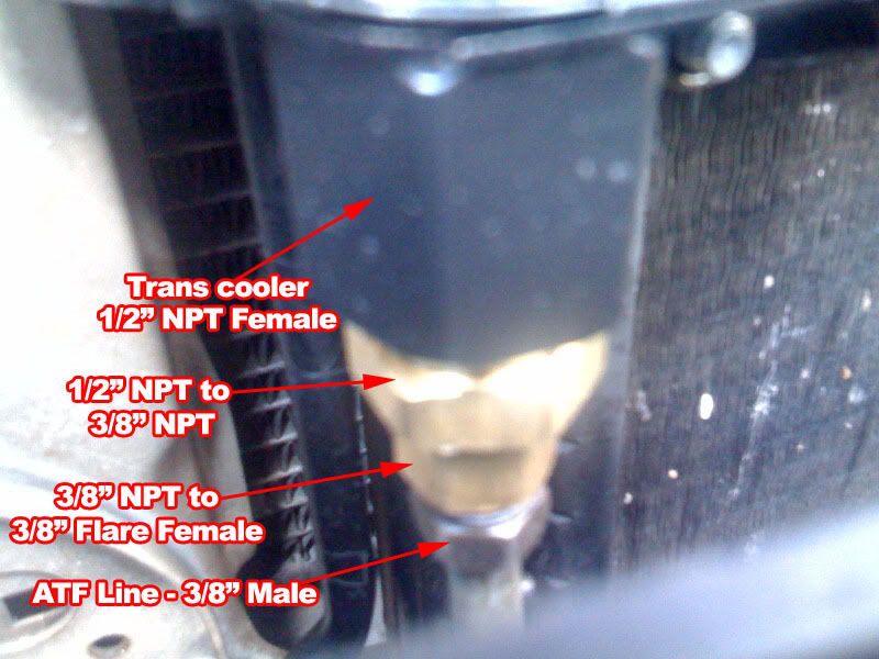 photolaled.jpg