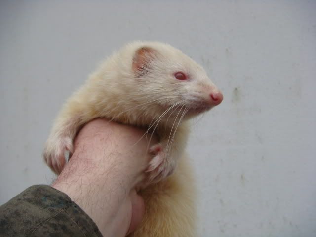 DSC02556.jpg