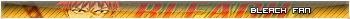 bleachuserbar.jpg