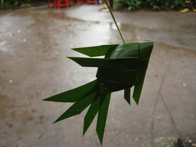 Palmleaffish.jpg