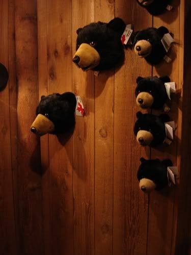 TeddybearheadsinCanada-1.jpg