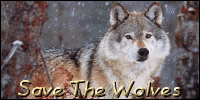Wolfs.gif