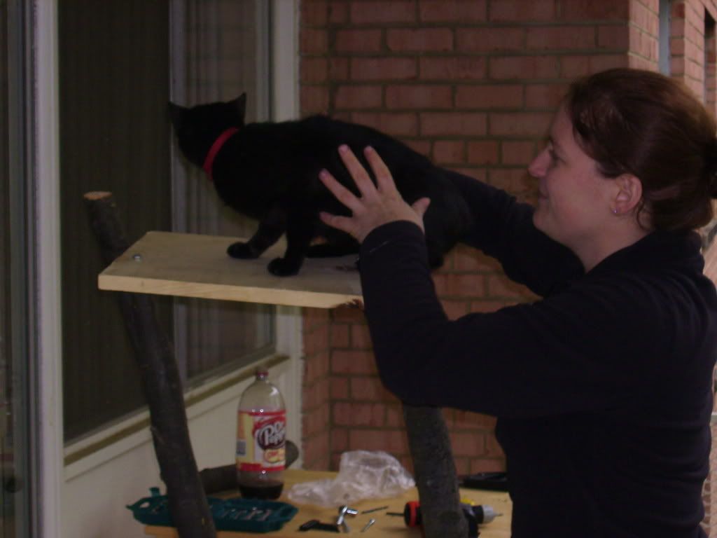 see - she loves it! Pictures, Images and Photos