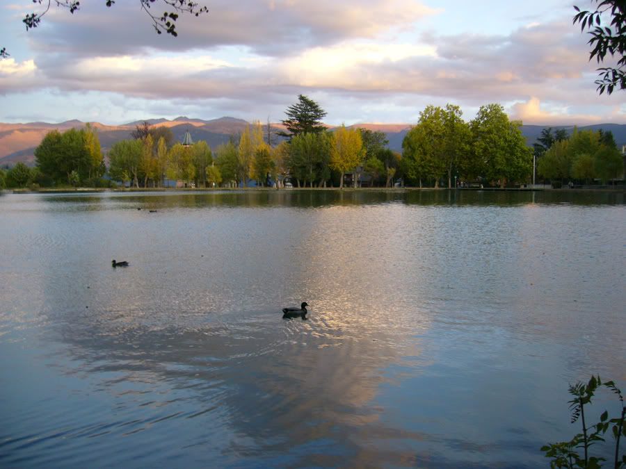 P1020296b.jpg