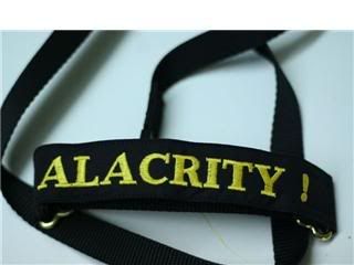 alacritycollar.jpg