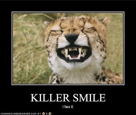 funny-pictures-tiger-has-a-killer-s.jpg