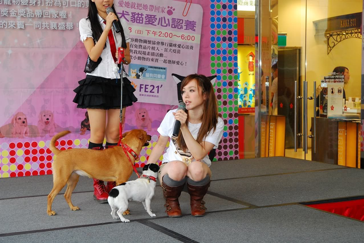 圖檔