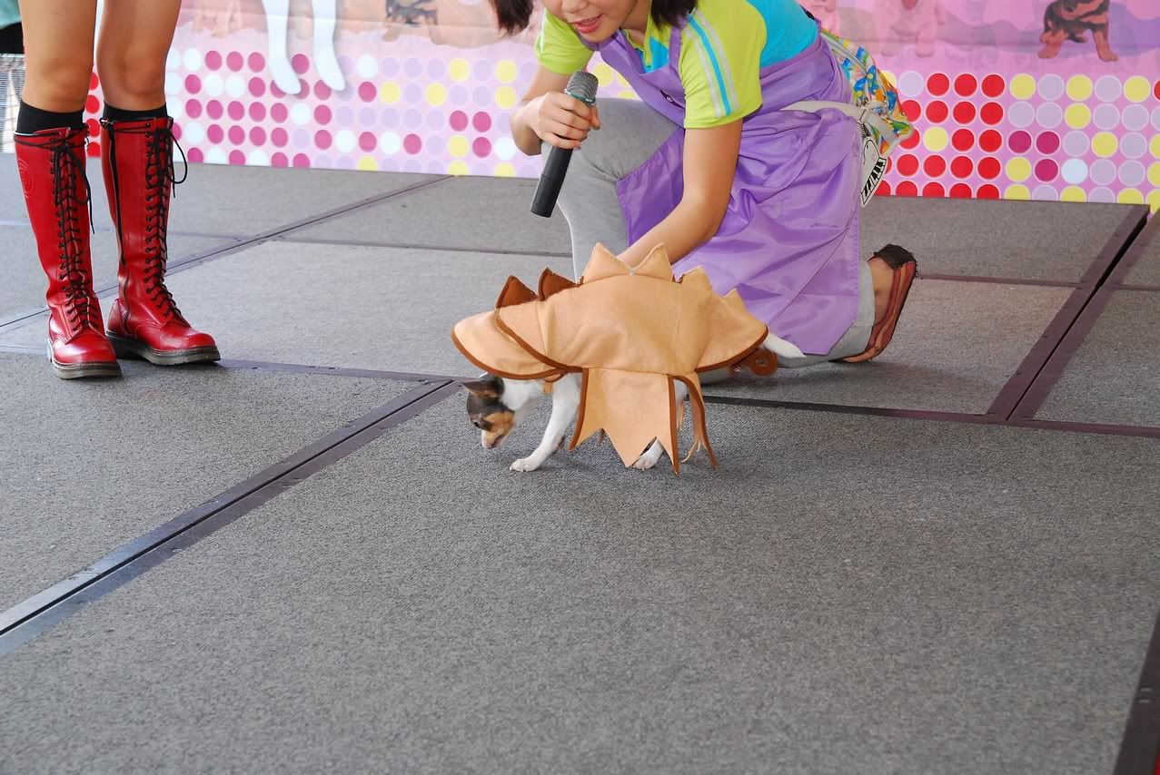 圖檔