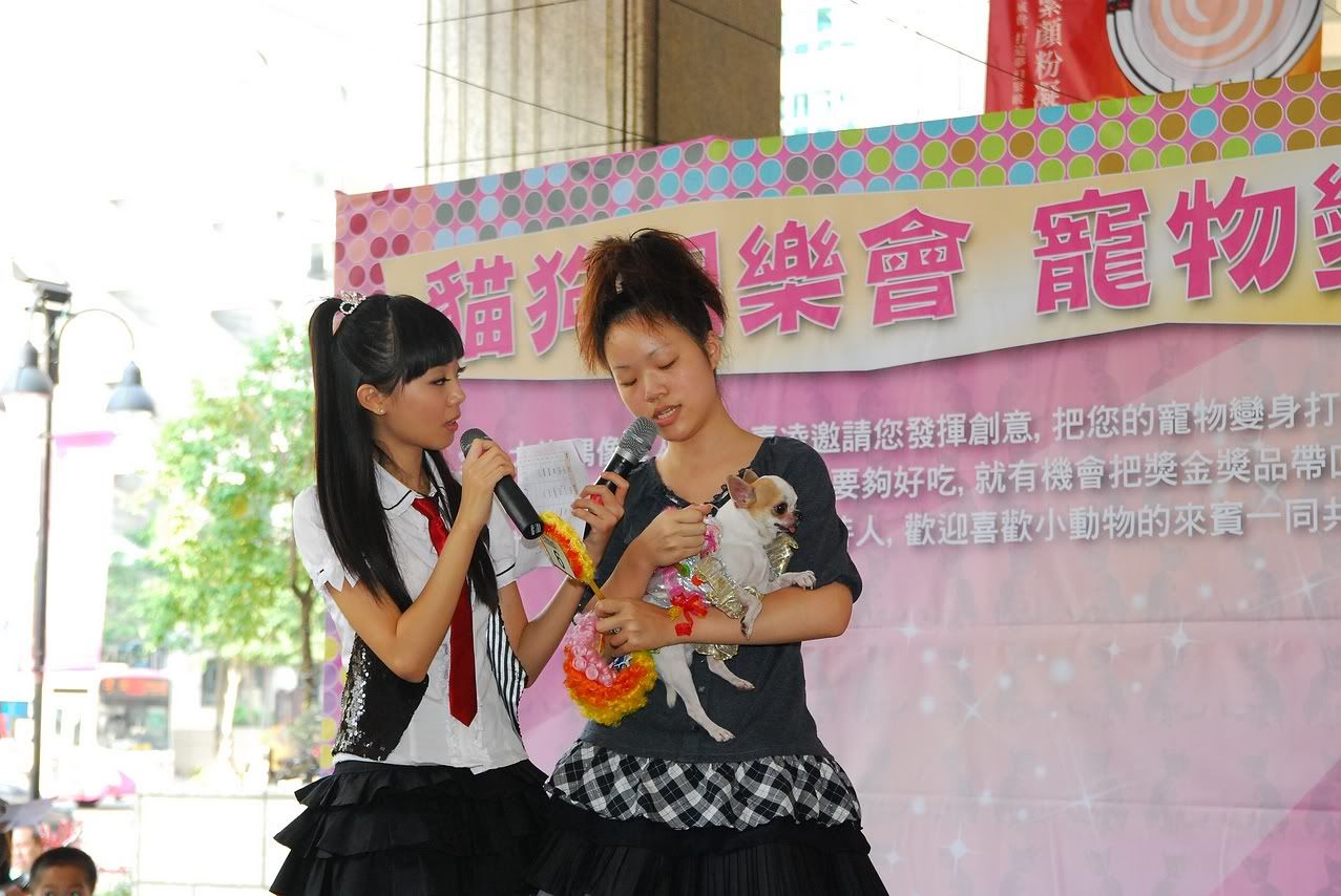 圖檔