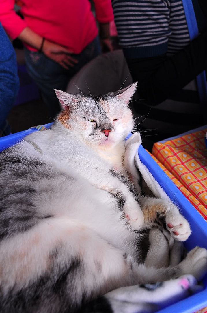 圖檔