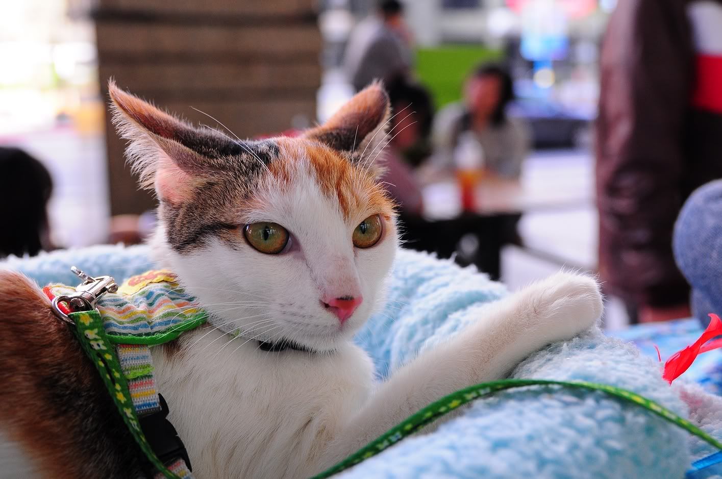 圖檔