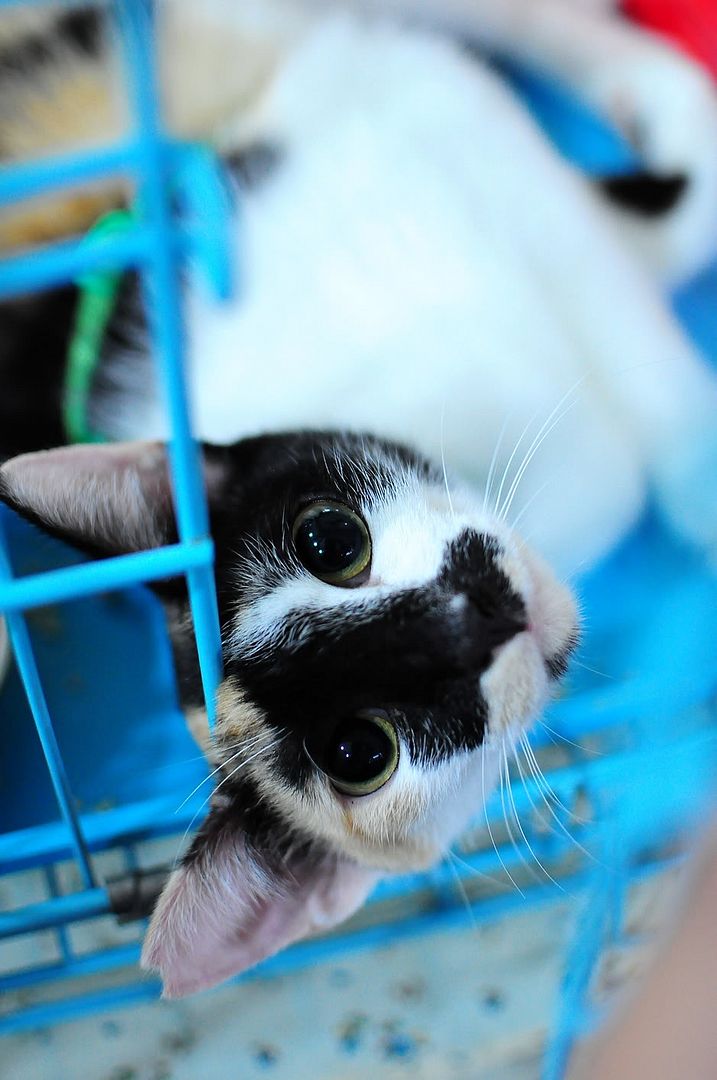 圖檔
