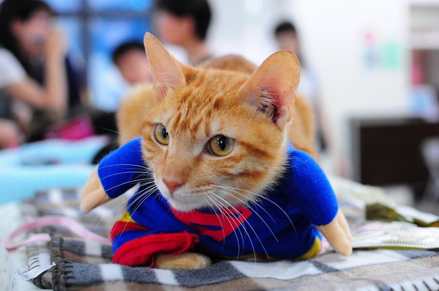 圖檔