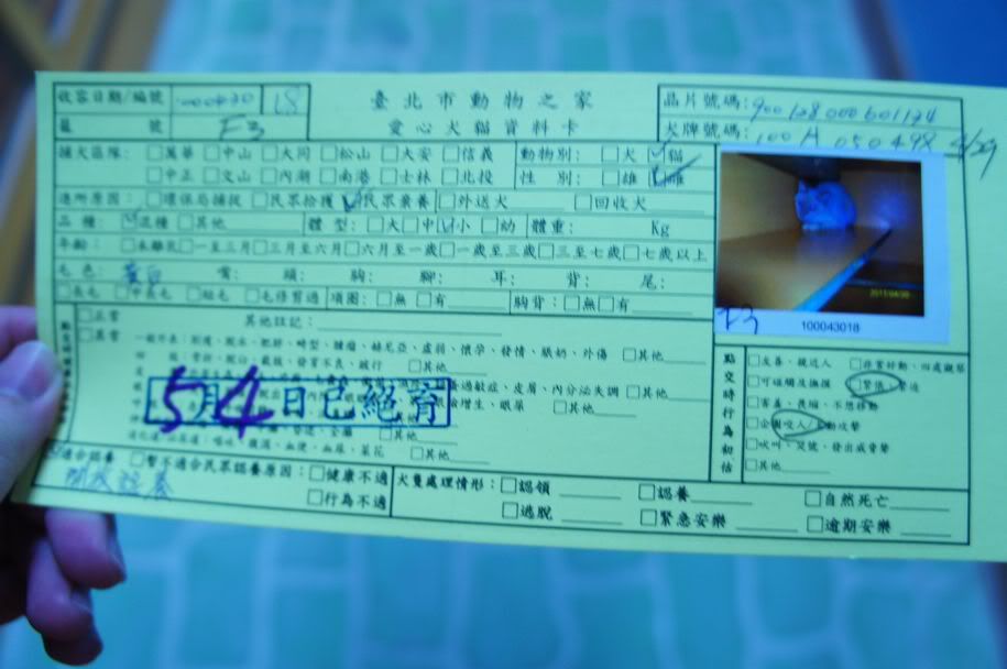 圖檔