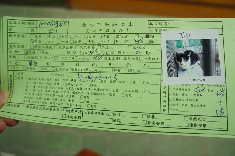圖檔