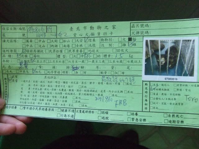 圖檔