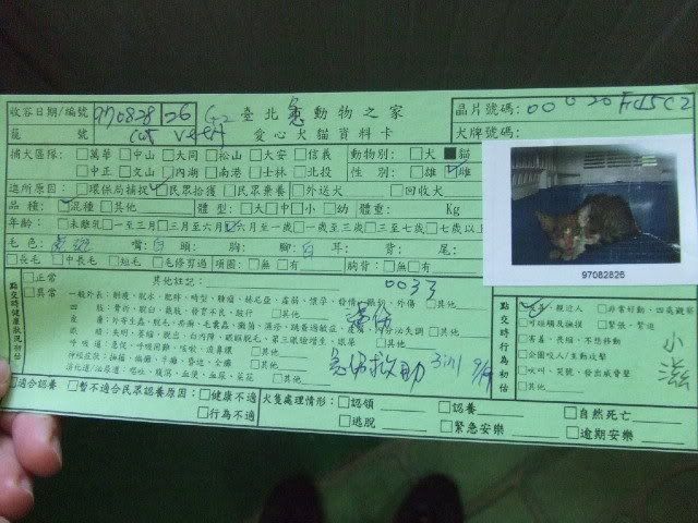 圖檔