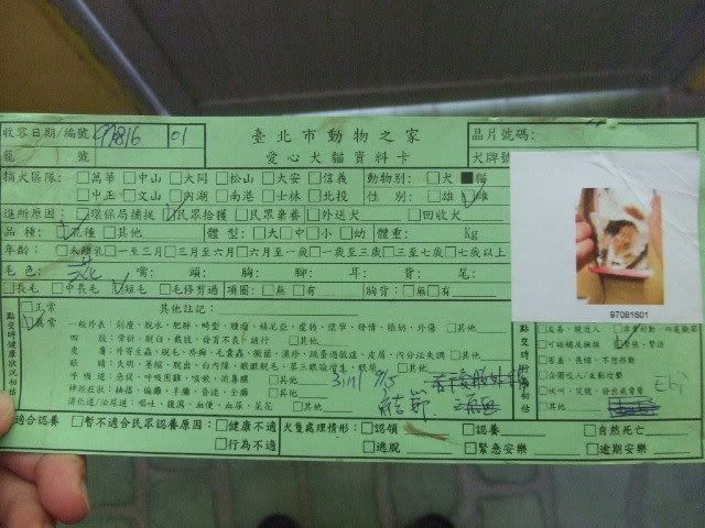 圖檔