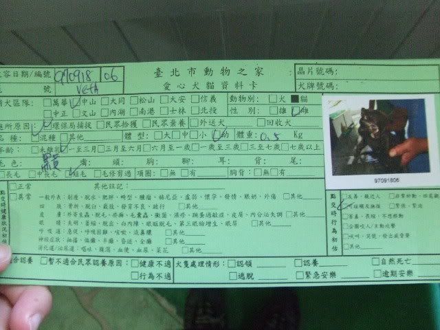 圖檔