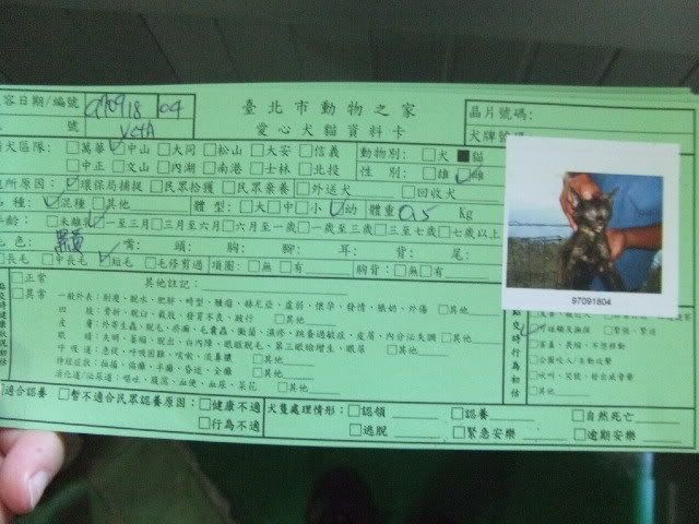 圖檔