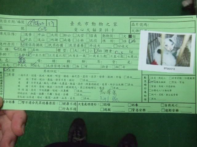 圖檔