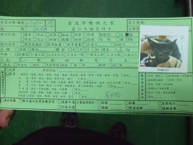 圖檔