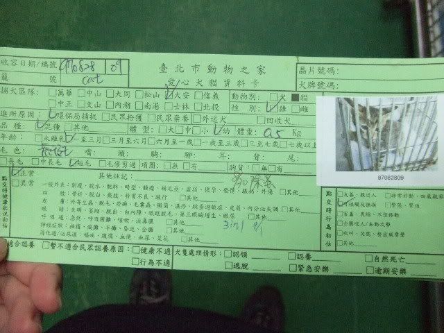 圖檔