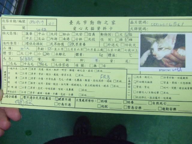 圖檔