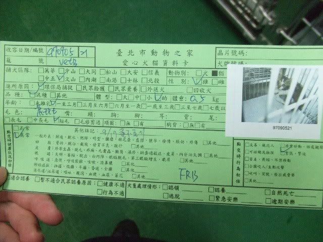 圖檔