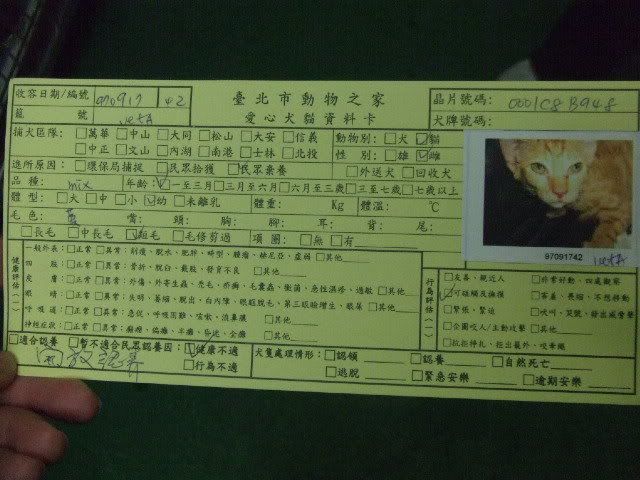 圖檔