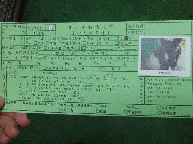 圖檔