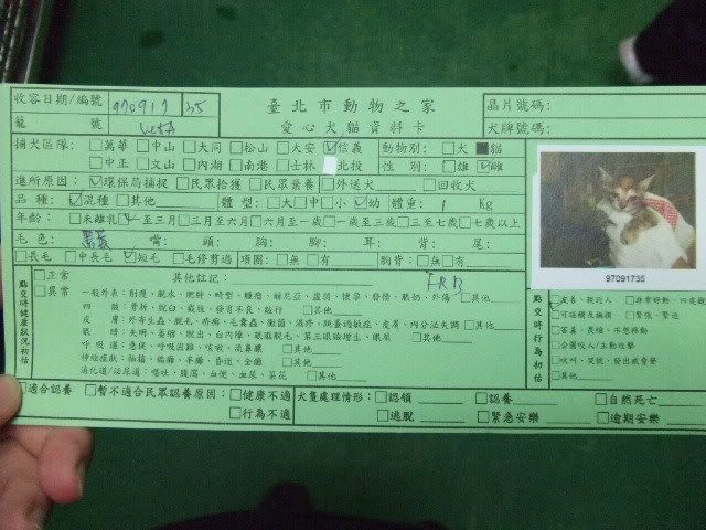 圖檔