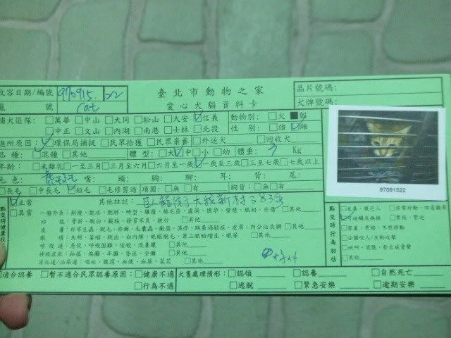 圖檔