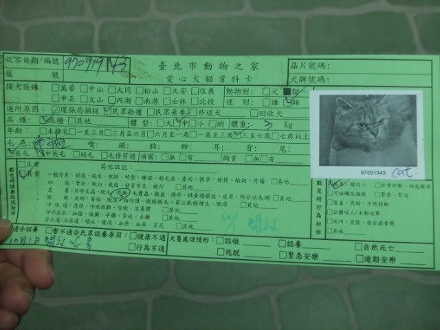 圖檔