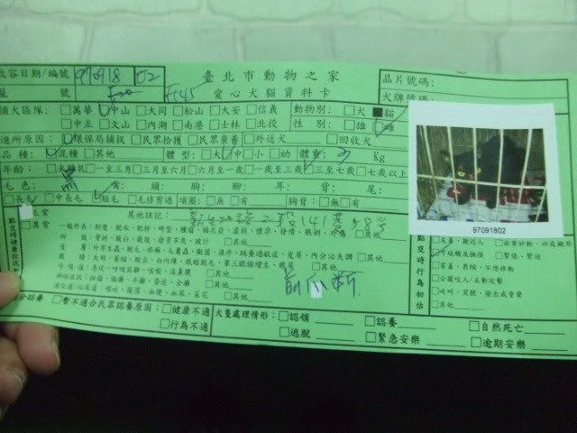 圖檔