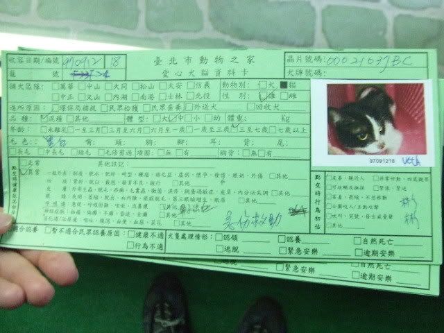 圖檔