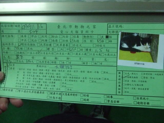 圖檔