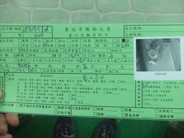 圖檔
