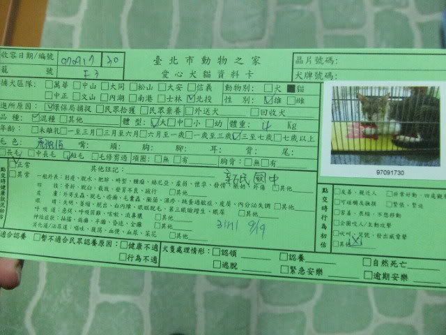 圖檔