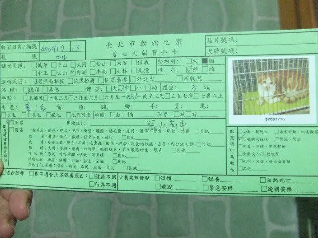 圖檔
