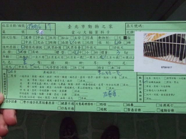 圖檔
