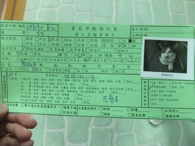 圖檔