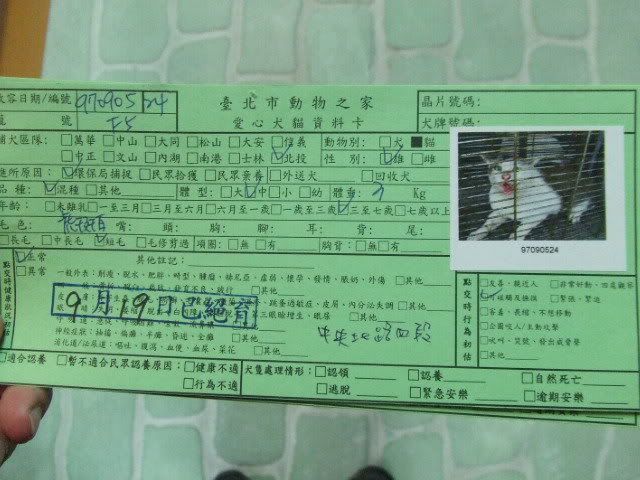 圖檔
